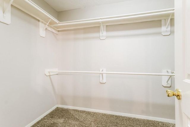 27 Orchid Grove Place, The Woodlands, TX 77385