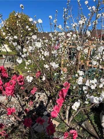 5317 W Henderson Place, Santa Ana, CA 92704