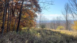 Chaffee Road, Liberty, NY 12754
