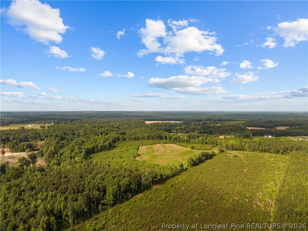 Leaflet Church Road, Lillington, NC 27546 — photo 11