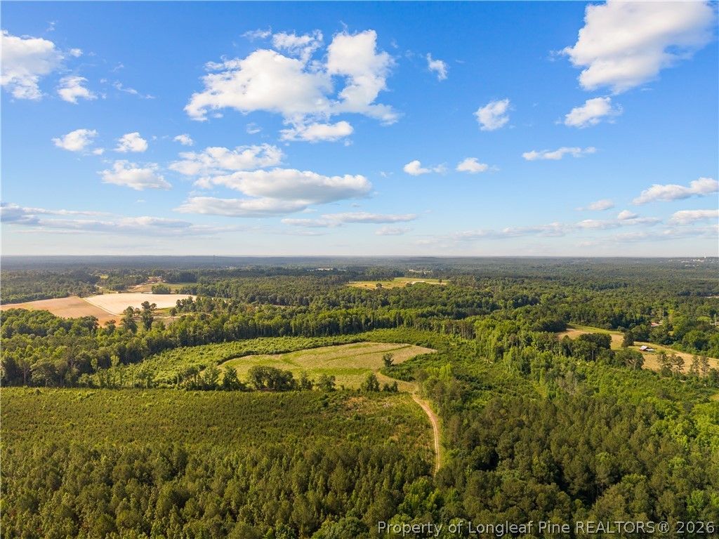 Leaflet Church Road, Lillington, NC 27546 — photo 12