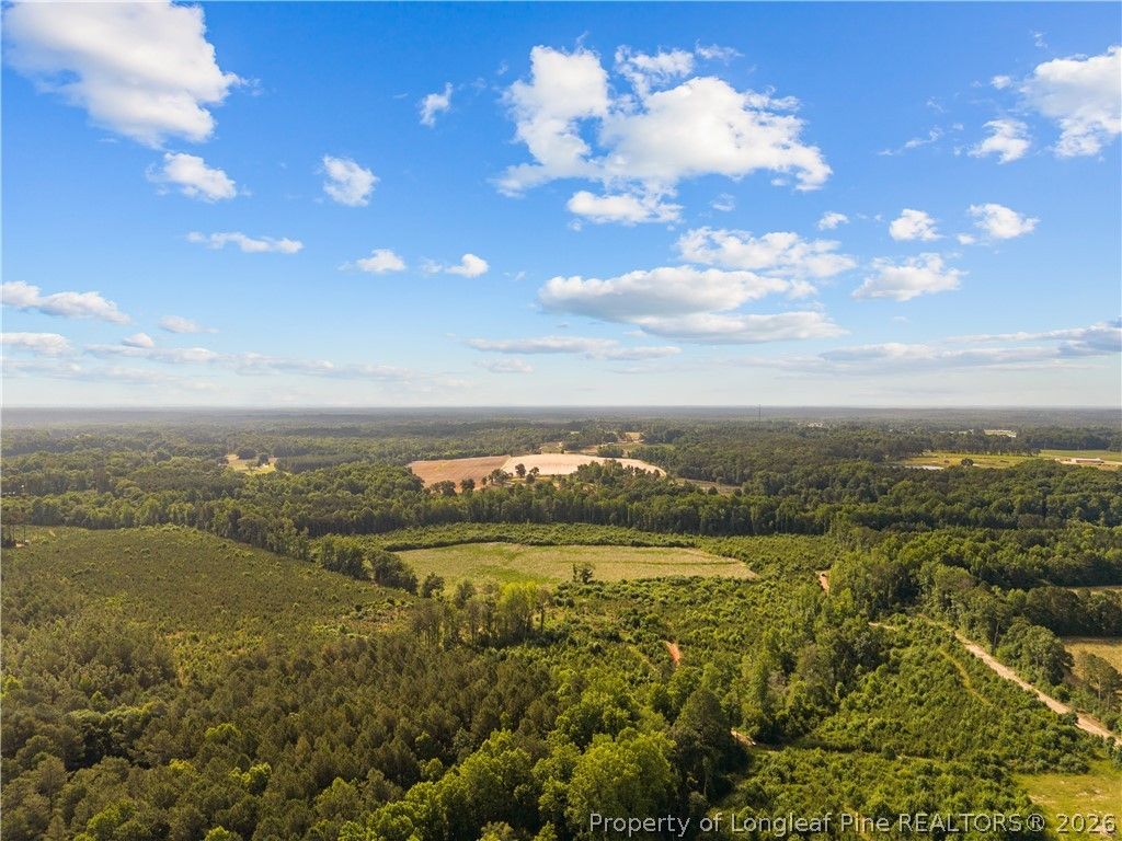 Leaflet Church Road, Lillington, NC 27546 — photo 14