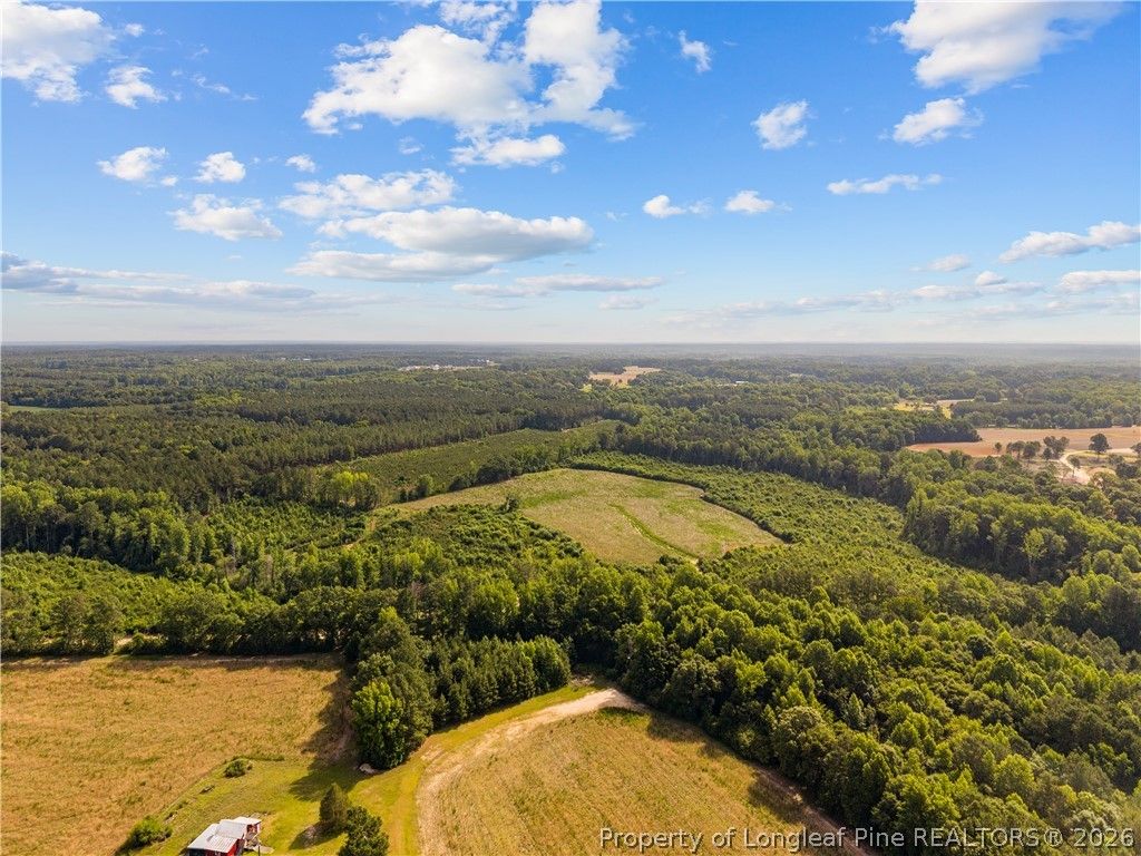 Leaflet Church Road, Lillington, NC 27546 — photo 18