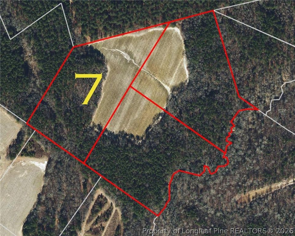 Leaflet Church Road, Lillington, NC 27546 — photo 19