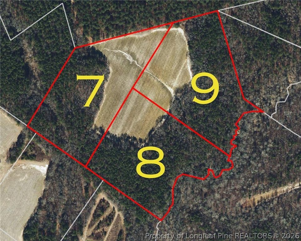Leaflet Church Road, Lillington, NC 27546 — photo 20