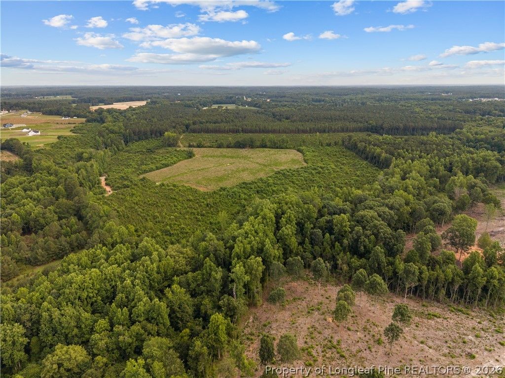 Leaflet Church Road, Lillington, NC 27546 — photo 5