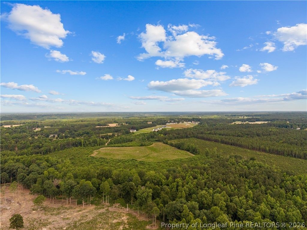 Leaflet Church Road, Lillington, NC 27546 — photo 8