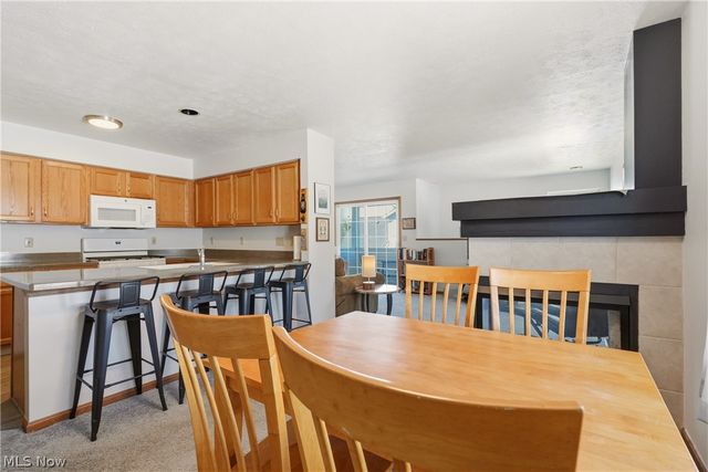 23135 Grist Mill Court 29C, Olmsted Falls, OH 44138