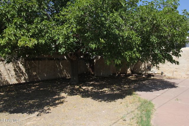 3315 SACRAMENTO Avenue, El Paso, TX 79930