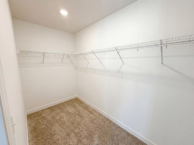 3022 Basswood Street, Little Canada, MN 55117