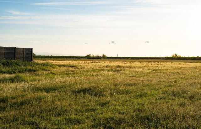 9401 Biederman Way, Escalon, CA 95320