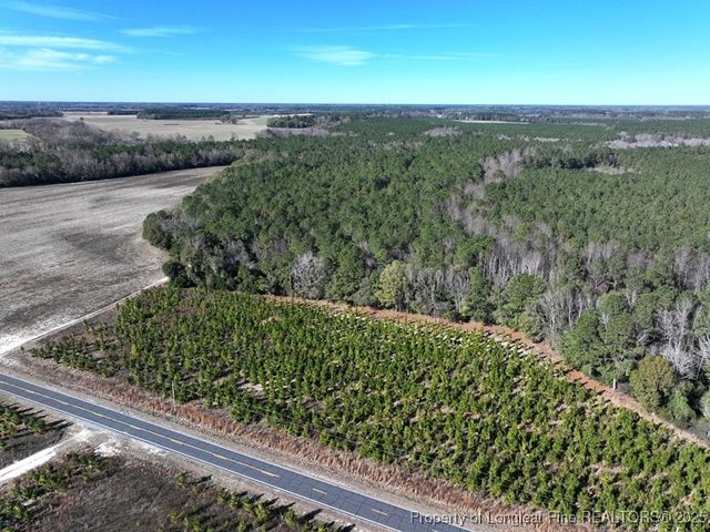 TBD Stuart's Mill Road, Fairmont, NC 28340