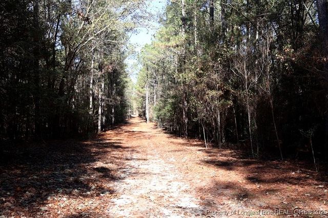 TBD Stuart's Mill Road, Fairmont, NC 28340