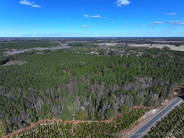 TBD Stuart's Mill Road, Fairmont, NC 28340