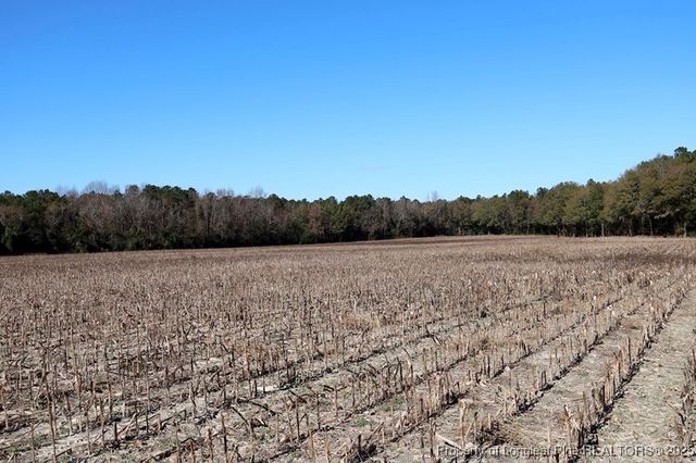 TBD Stuart's Mill Road, Fairmont, NC 28340