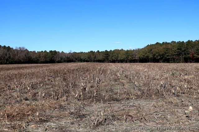 TBD Stuart's Mill Road, Fairmont, NC 28340