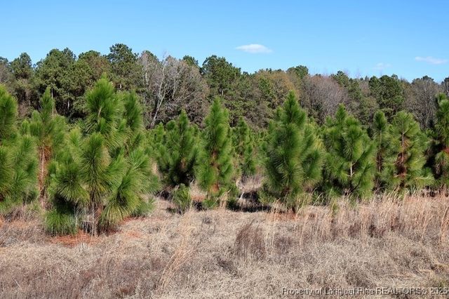 TBD Stuart's Mill Road, Fairmont, NC 28340