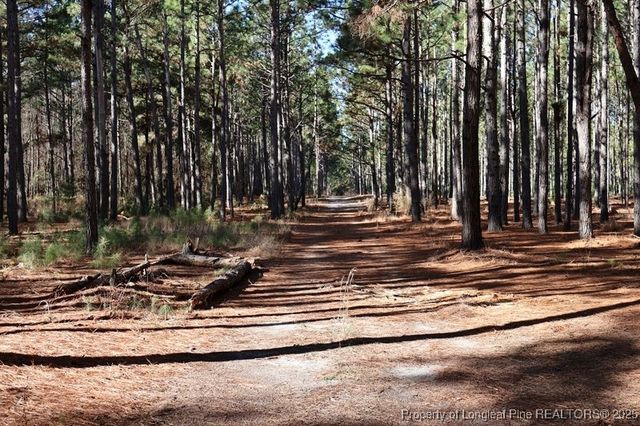 TBD Stuart's Mill Road, Fairmont, NC 28340