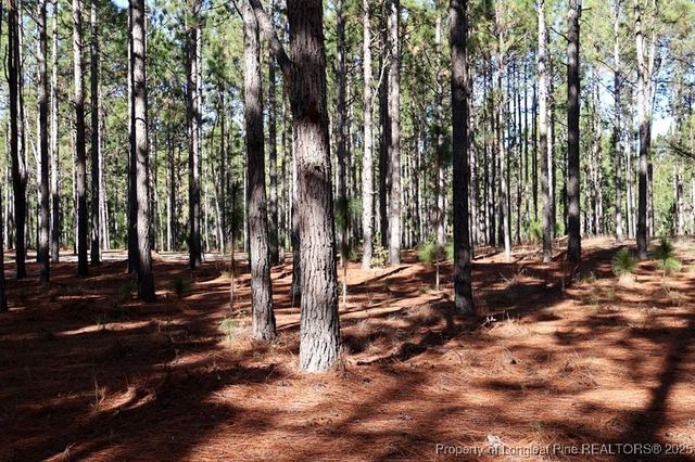 TBD Stuart's Mill Road, Fairmont, NC 28340