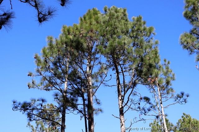 TBD Stuart's Mill Road, Fairmont, NC 28340