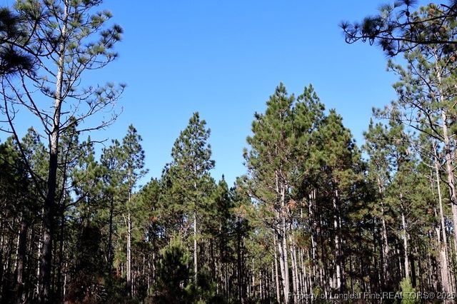 TBD Stuart's Mill Road, Fairmont, NC 28340