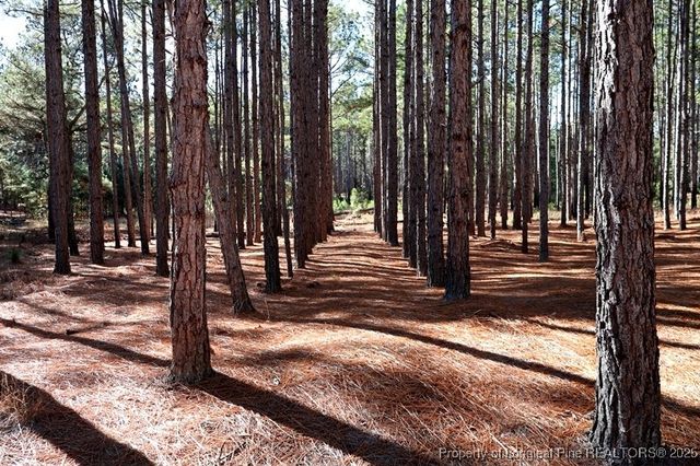 TBD Stuart's Mill Road, Fairmont, NC 28340