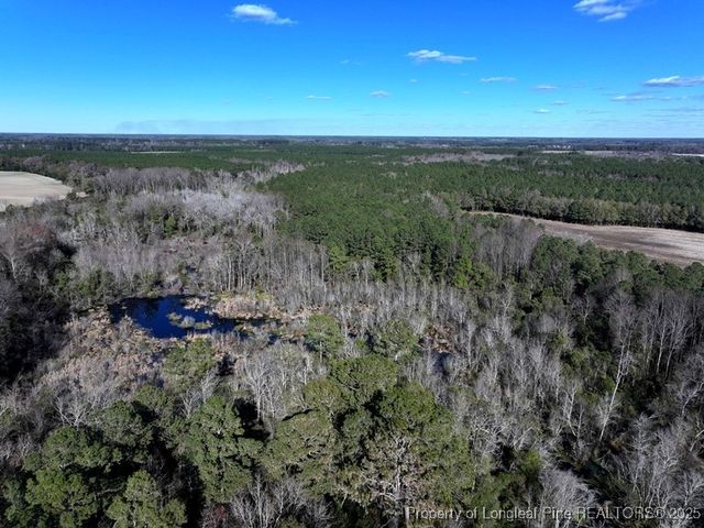 TBD Stuart's Mill Road, Fairmont, NC 28340