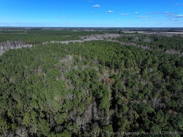 TBD Stuart's Mill Road, Fairmont, NC 28340