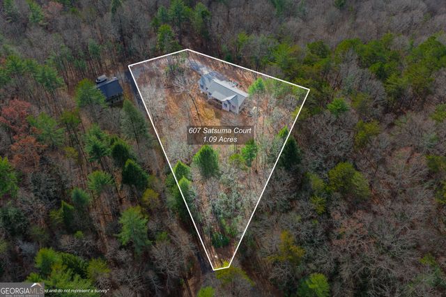 607 Satsuma Court S 673, Ellijay, GA 30536