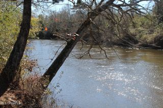 Red Creek Road, Lucedale, MS 39452