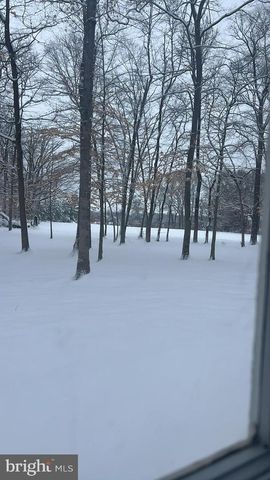 11116 LIBERTY LN, Easton, MD 21601