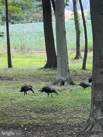 11116 LIBERTY LN, Easton, MD 21601