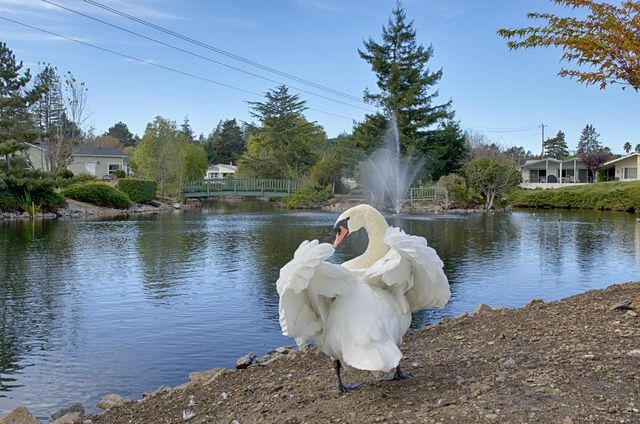 225 Mount Hermon Road 146, Scotts Valley, CA 95066