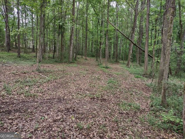 7001 Coatsworth Drive LOT 1, Stockbridge, GA 30281