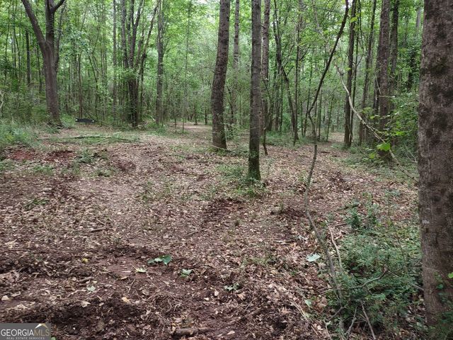 7001 Coatsworth Drive LOT 1, Stockbridge, GA 30281