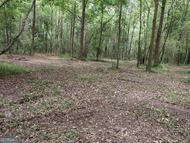 7001 Coatsworth Drive LOT 1, Stockbridge, GA 30281