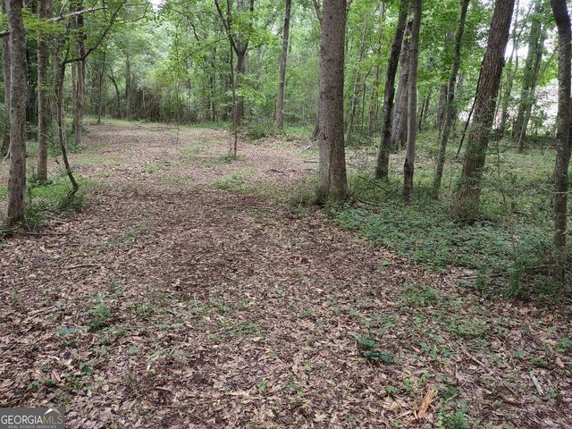 7001 Coatsworth Drive LOT 1, Stockbridge, GA 30281