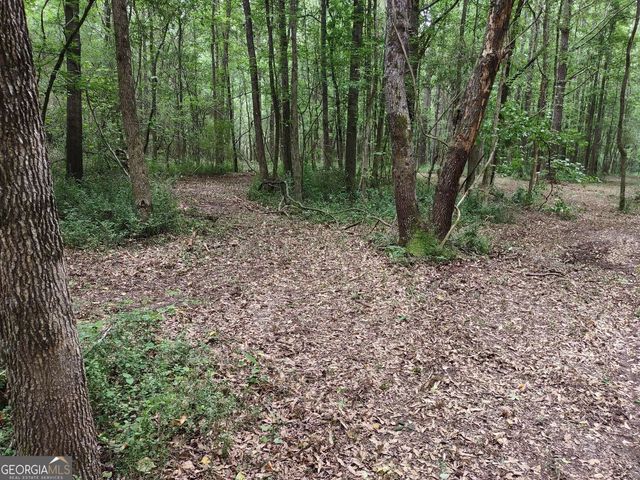 7001 Coatsworth Drive LOT 1, Stockbridge, GA 30281