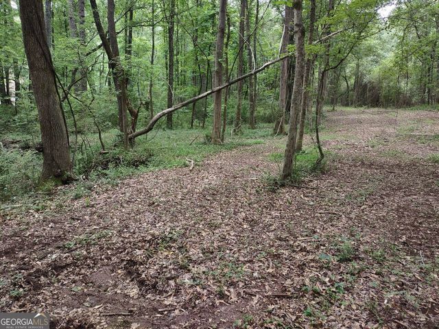 7001 Coatsworth Drive LOT 1, Stockbridge, GA 30281