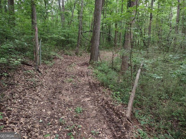 7001 Coatsworth Drive LOT 1, Stockbridge, GA 30281