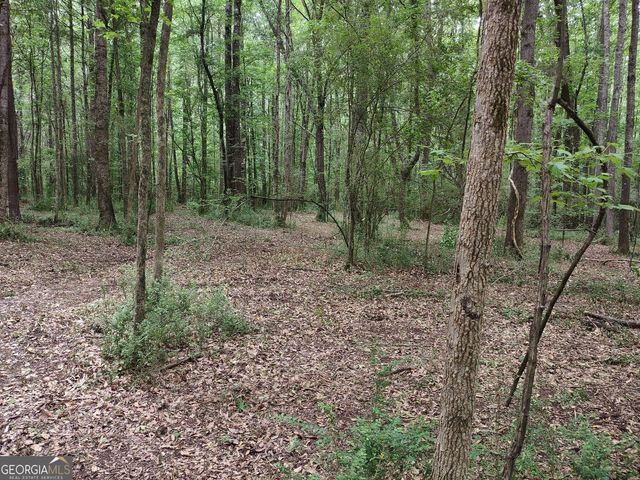 7001 Coatsworth Drive LOT 1, Stockbridge, GA 30281
