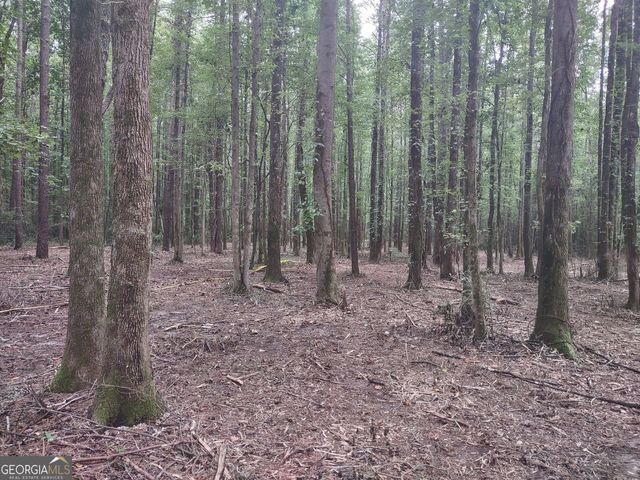 7001 Coatsworth Drive LOT 1, Stockbridge, GA 30281