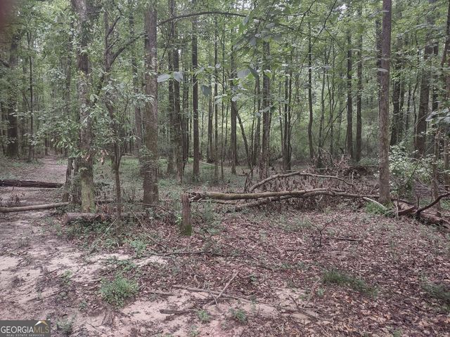 7001 Coatsworth Drive LOT 1, Stockbridge, GA 30281