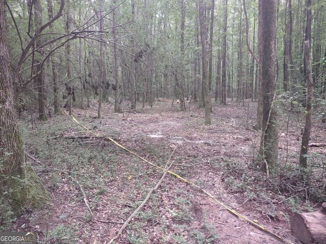 7001 Coatsworth Drive LOT 1, Stockbridge, GA 30281