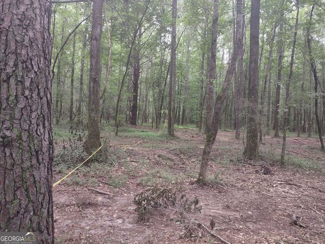 7001 Coatsworth Drive LOT 1, Stockbridge, GA 30281