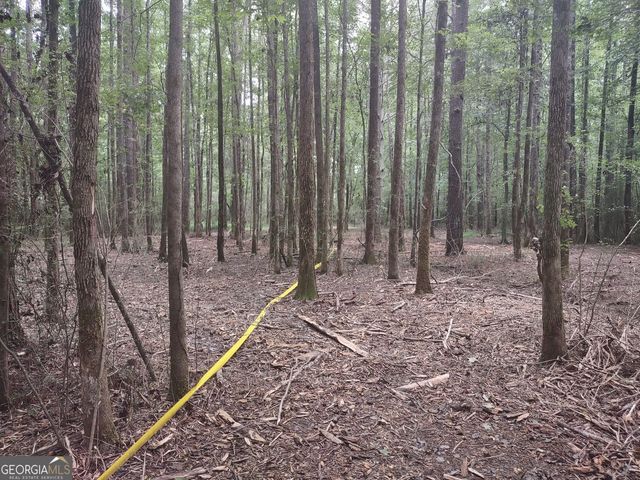 7001 Coatsworth Drive LOT 1, Stockbridge, GA 30281