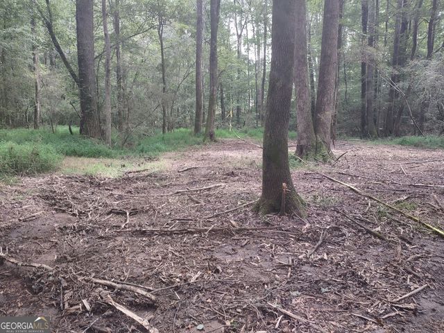 7001 Coatsworth Drive LOT 1, Stockbridge, GA 30281