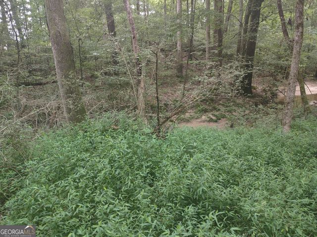 7001 Coatsworth Drive LOT 1, Stockbridge, GA 30281