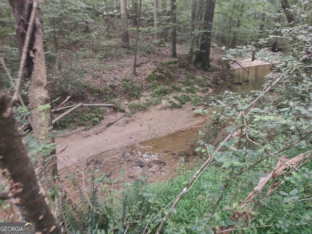 7001 Coatsworth Drive LOT 1, Stockbridge, GA 30281