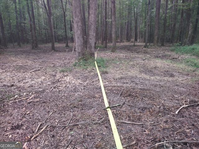 7001 Coatsworth Drive LOT 1, Stockbridge, GA 30281